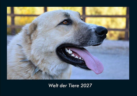 Welt der Tiere 2027 Fotokalender DIN A4