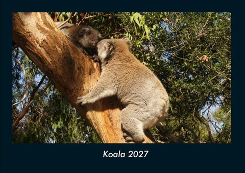 Koala 2027 Fotokalender DIN A4