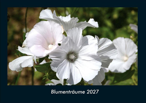 Blumenträume 2027 Fotokalender DIN A4
