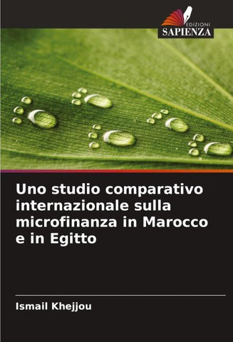 Uno studio comparativo internazionale sulla microfinanza in Marocco e in Egitto