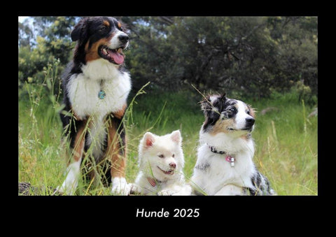 Hunde 2025 Fotokalender DIN A3