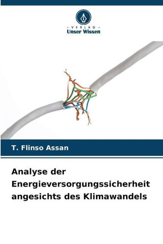 Analyse der Energieversorgungssicherheit angesichts des Klimawandels