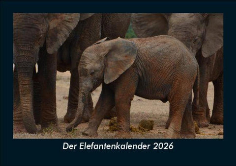 Der Elefantenkalender 2026 Fotokalender DIN A5