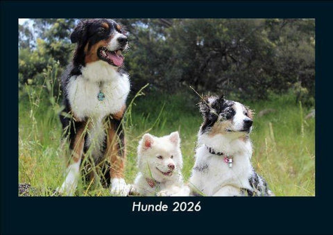 Hunde 2026 Fotokalender DIN A5