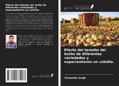 Efecto del tamaño del bulbo de diferentes variedades y espaciamiento en cebolla.