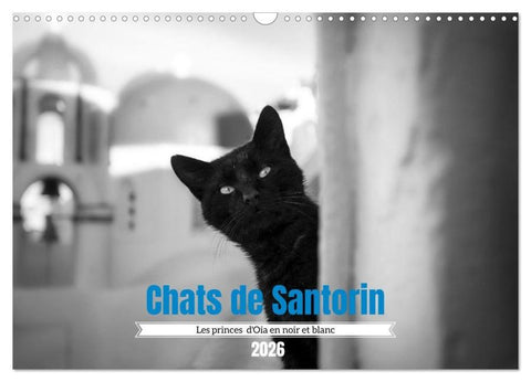Chats de Santorin - Les princes d'Oia en noir et blanc (Calendrier mural 2026 DIN A3 vertical), CALVENDO calendrier mensuel