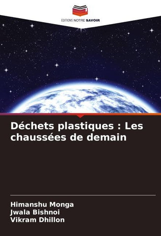 Déchets plastiques : Les chaussées de demain