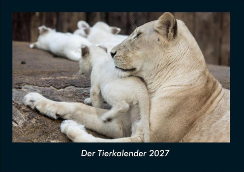 Der Tierkalender 2027 Fotokalender DIN A4