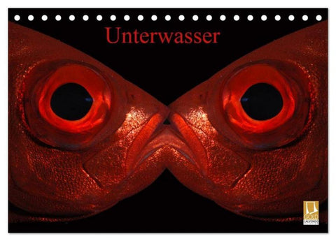 Unterwasser (Tischkalender 2026 DIN A5 quer), CALVENDO Monatskalender