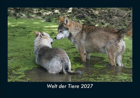 Welt der Tiere 2027 Fotokalender DIN A5