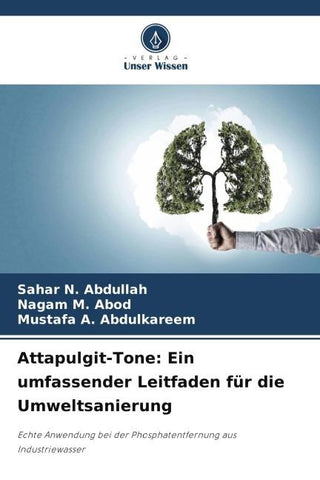 Attapulgit-Tone: Ein umfassender Leitfaden für die Umweltsanierung