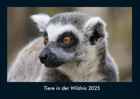 Tiere in der Wildnis 2025 Fotokalender DIN A4