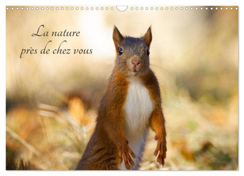 La nature près de chez vous (Calendrier mural 2026 DIN A3 vertical), CALVENDO calendrier mensuel