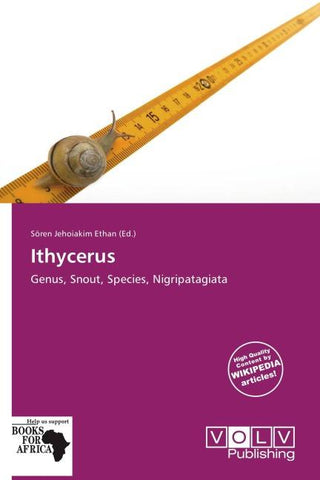 Ithycerus