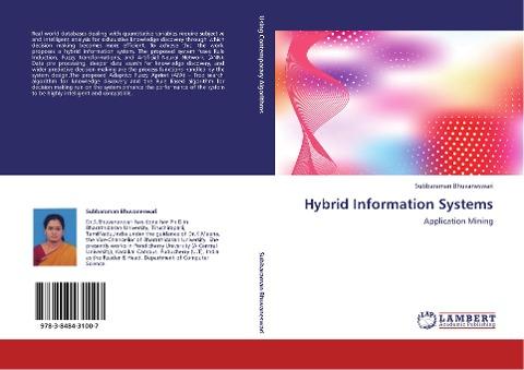 Hybrid Information Systems