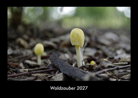 Waldzauber 2027 Fotokalender DIN A3