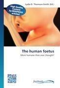 The human foetus