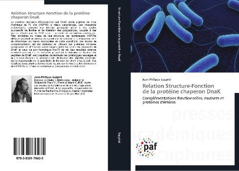 Relation Structure-Fonction   de la protéine chaperon DnaK