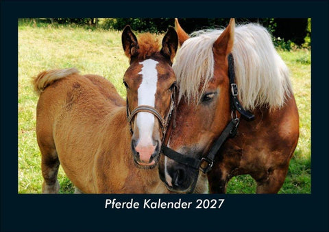 Pferde Kalender 2027 Fotokalender DIN A5