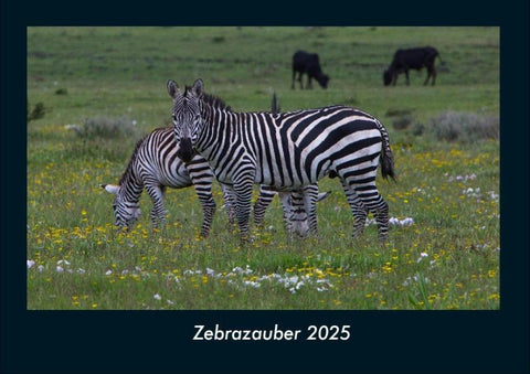 Zebrazauber 2025 Fotokalender DIN A4