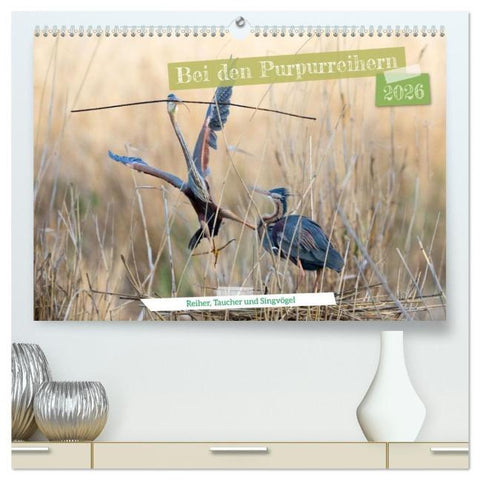 Bei den Purpurreihern (hochwertiger Premium Wandkalender 2026 DIN A2 quer), Kunstdruck in Hochglanz