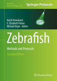 Zebrafish