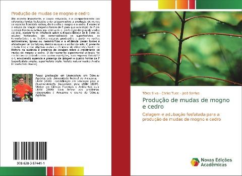 Produção de mudas de mogno e cedro