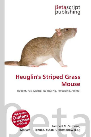 Heuglin's Striped Grass Mouse
