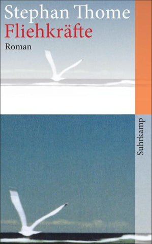 Fliehkräfte