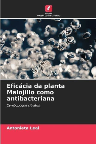 Eficácia da planta Malojillo como antibacteriana