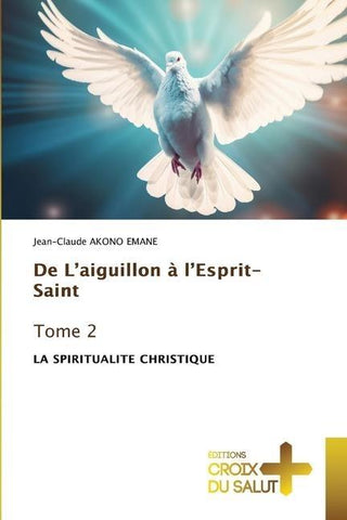 De L'aiguillon à l'Esprit-Saint Tome 2