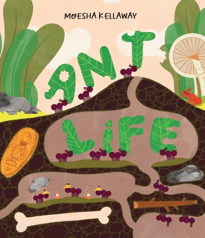 Misunderstood Minibeasts (2) - Ant Life