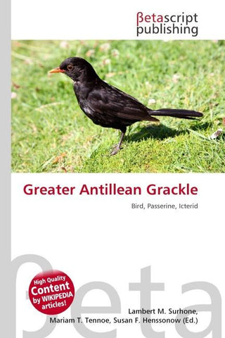 Greater Antillean Grackle