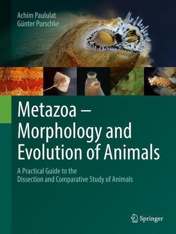 Metazoa – Morphology and Evolution of Animals