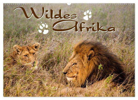 Wildes Afrika (Wandkalender 2026 DIN A2 quer), CALVENDO Monatskalender