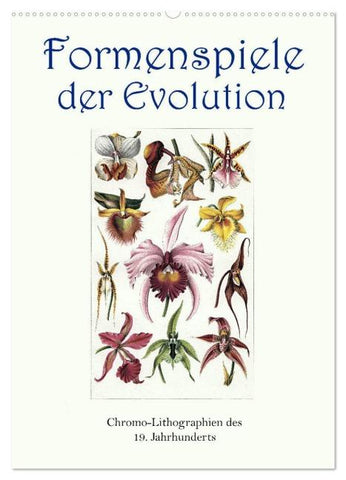 Formenspiele der Evolution. Chromolithographien des 19. Jahrhunderts (Wandkalender 2026 DIN A2 hoch), CALVENDO Monatskalender