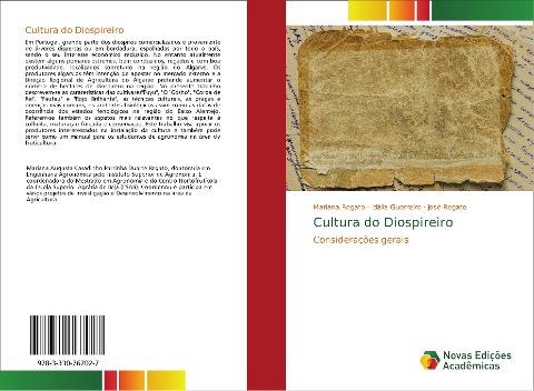 Cultura do Diospireiro