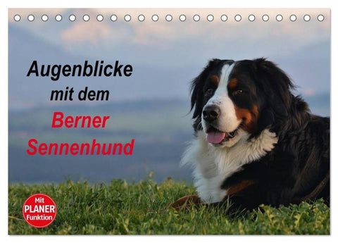 Augenblicke mit dem Berner Sennenhund (Tischkalender 2026 DIN A5 quer), CALVENDO Monatskalender