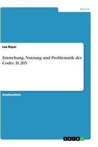 Entstehung, Nutzung und Problematik des Codec H.265