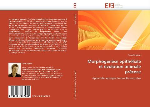 Morphogenèse épithéliale et évolution animale précoce