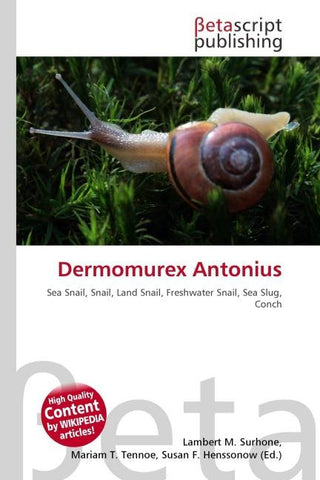 Dermomurex Antonius