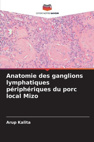 Anatomie des ganglions lymphatiques périphériques du porc local Mizo