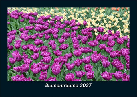 Blumenträume 2027 Fotokalender DIN A5