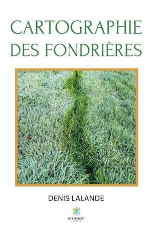 Cartographie des fondrières