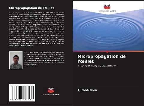 Micropropagation de l'¿illet