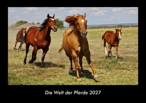 Die Welt der Pferde 2027 Fotokalender DIN A3
