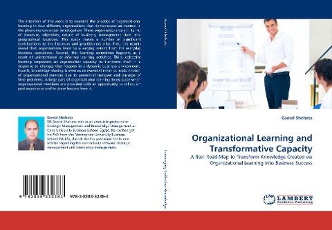 Organizational Learning and Transformative Capacity
