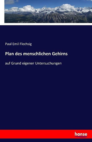 Plan des menschlichen Gehirns