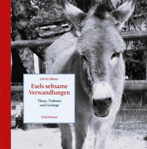 Esels seltsame Verwandlungen