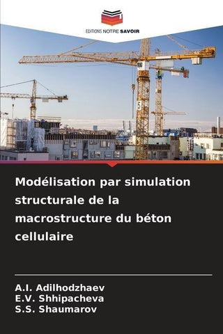 Modélisation par simulation structurale de la macrostructure du béton cellulaire